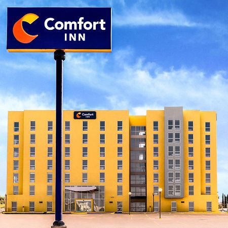 Comfort Inn Delicias Bagian luar foto